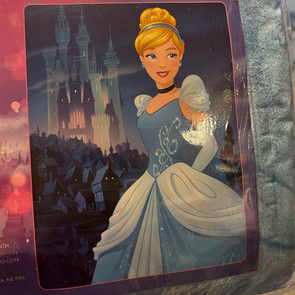 DISNEY PRINCESS Raschel Twin Size Blanket‎